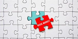 Puzzle niche market